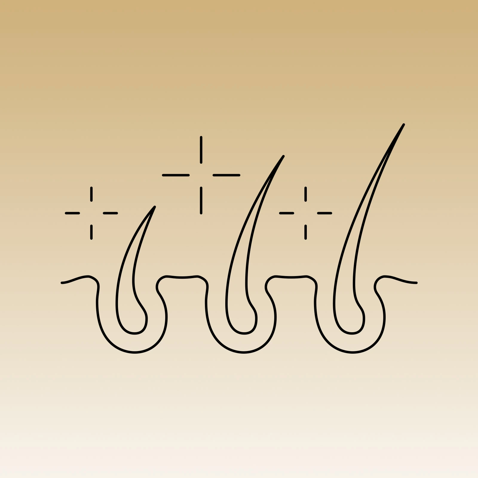 KONSULTACJA CHIRURGICZNA - TRANSPLANTACJA